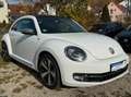 Volkswagen Beetle MWST AUSW. PANO KAM PDC NAVI KLIMA XENON Wit - thumbnail 6