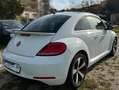Volkswagen Beetle MWST AUSW. PANO KAM PDC NAVI KLIMA XENON Wit - thumbnail 4