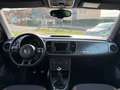 Volkswagen Beetle MWST AUSW. PANO KAM PDC NAVI KLIMA XENON Wit - thumbnail 9