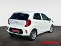 Kia Picanto Vision Automatik Navi Kamera Klima Sitzheizung Weiß - thumbnail 6