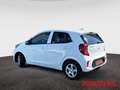 Kia Picanto Vision Automatik Navi Kamera Klima Sitzheizung Blanc - thumbnail 3