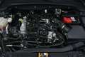Ford Focus Focus 1.0 EcoBoost 125 CV automatico 5p ST-Line Gris - thumbnail 28