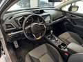 Subaru XV 1.6i 4dventure lineartronic GPL Plateado - thumbnail 5
