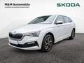 Skoda Scala 1.0 TSI Drive 125 KLIMA DAB+ SITZHZG AL Weiß - thumbnail 1