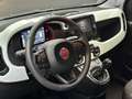 Fiat Panda 1.0 hybrid CROSS 70cv Nero - thumbnail 13
