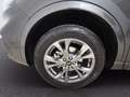 Ford Kuga 2.5 phev ST-Line 2wd 225cv cvt Grau - thumbnail 14