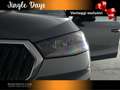 Skoda Fabia 1.0 tsi evo selection 95cv Grigio - thumbnail 12