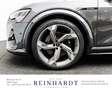 Audi e-tron S BLACK ACC/HuD/PANO/S-SITZE/DIGI-MATRIX Gris - thumbnail 14