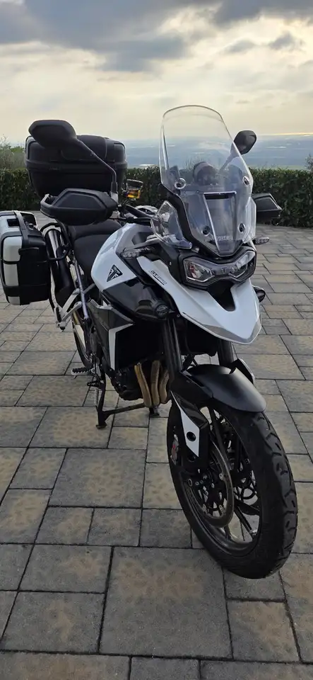 Triumph Tiger 900