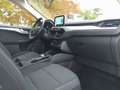 Ford Kuga 2,5 FHEV  I ALLRAD I AUTOMATIK I Silber - thumbnail 6