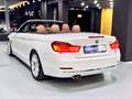 BMW 430 Cabrio LuxuryLine *SHZ*KAMERA*Head-up*HARMAN Blanc - thumbnail 12
