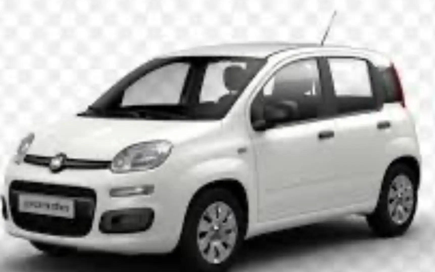 Fiat Panda 1.2 Pop Bianco - 1