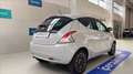 Lancia Ypsilon 1.2 mya 69cv NEOPATENTATI Gris - thumbnail 6