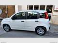 Fiat Panda 1.3 MJT 95 CV S&S Easy Bianco - thumbnail 8