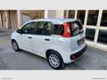 Fiat Panda 1.3 MJT 95 CV S&S Easy Bianco - thumbnail 3