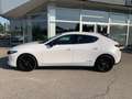 Mazda 3 Mazda3 e-Skyactiv-G150 Homura Aut. Weiß - thumbnail 11