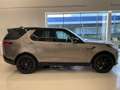 Land Rover Discovery D250 Dynamic SE Marrone - thumbnail 5