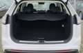 Ford Edge Sport 4x4 *LEDER*AHK*NAVI*STANDHEIZUNG* Blanco - thumbnail 7