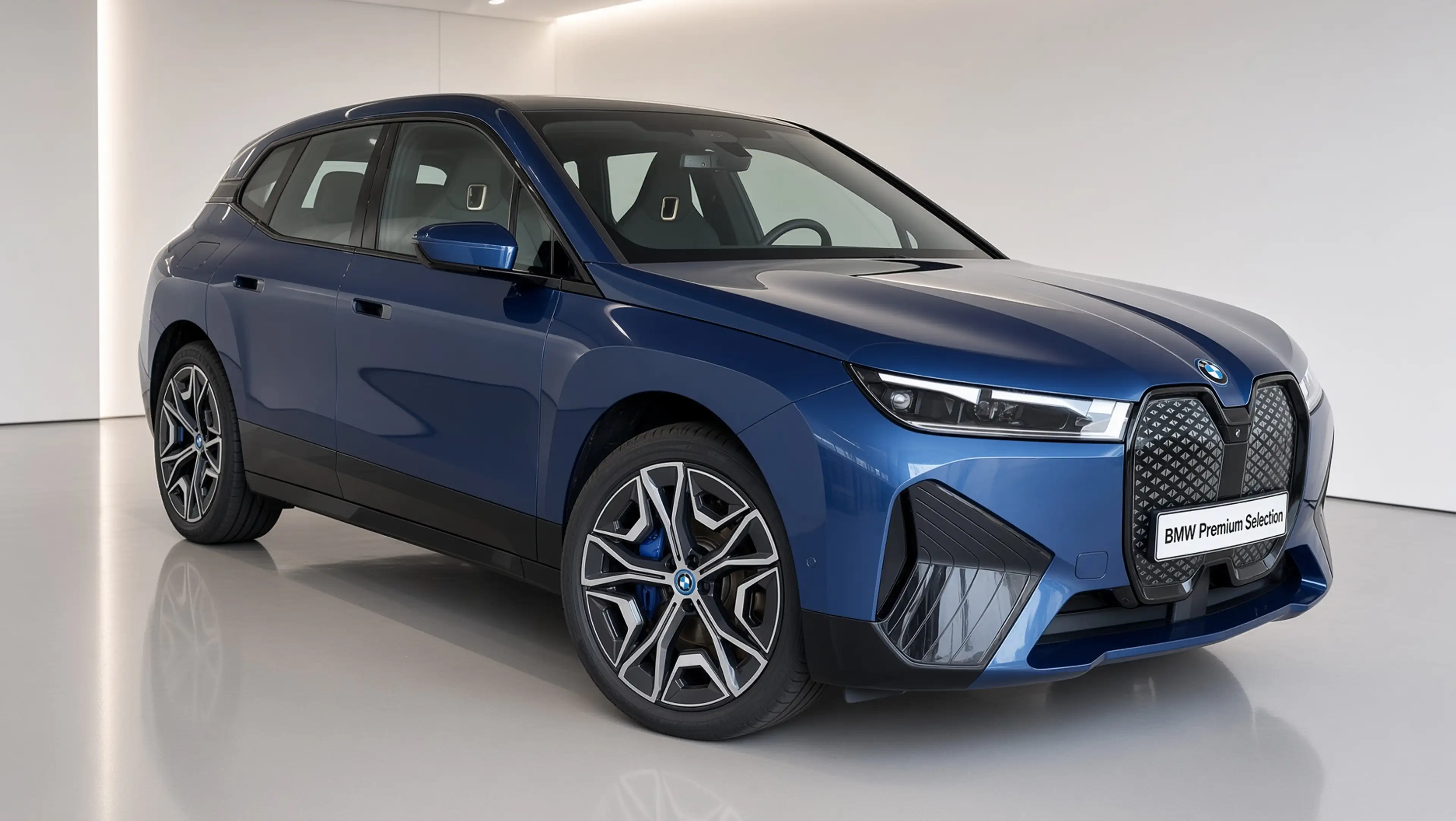 BMW iX xDrive50 | 22" | Sky Lounge | Harman Kardon | Trek — photo 5