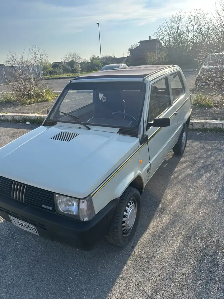 Fiat Panda 750 Young REVISIONE AUTO E GPL PASSATE DA POCO!!!, foto 1