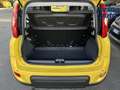 Fiat Panda Panda 1.0 FireFly S&S Hybrid Gelb - thumbnail 23