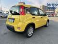Fiat Panda Panda 1.0 FireFly S&S Hybrid Gelb - thumbnail 7