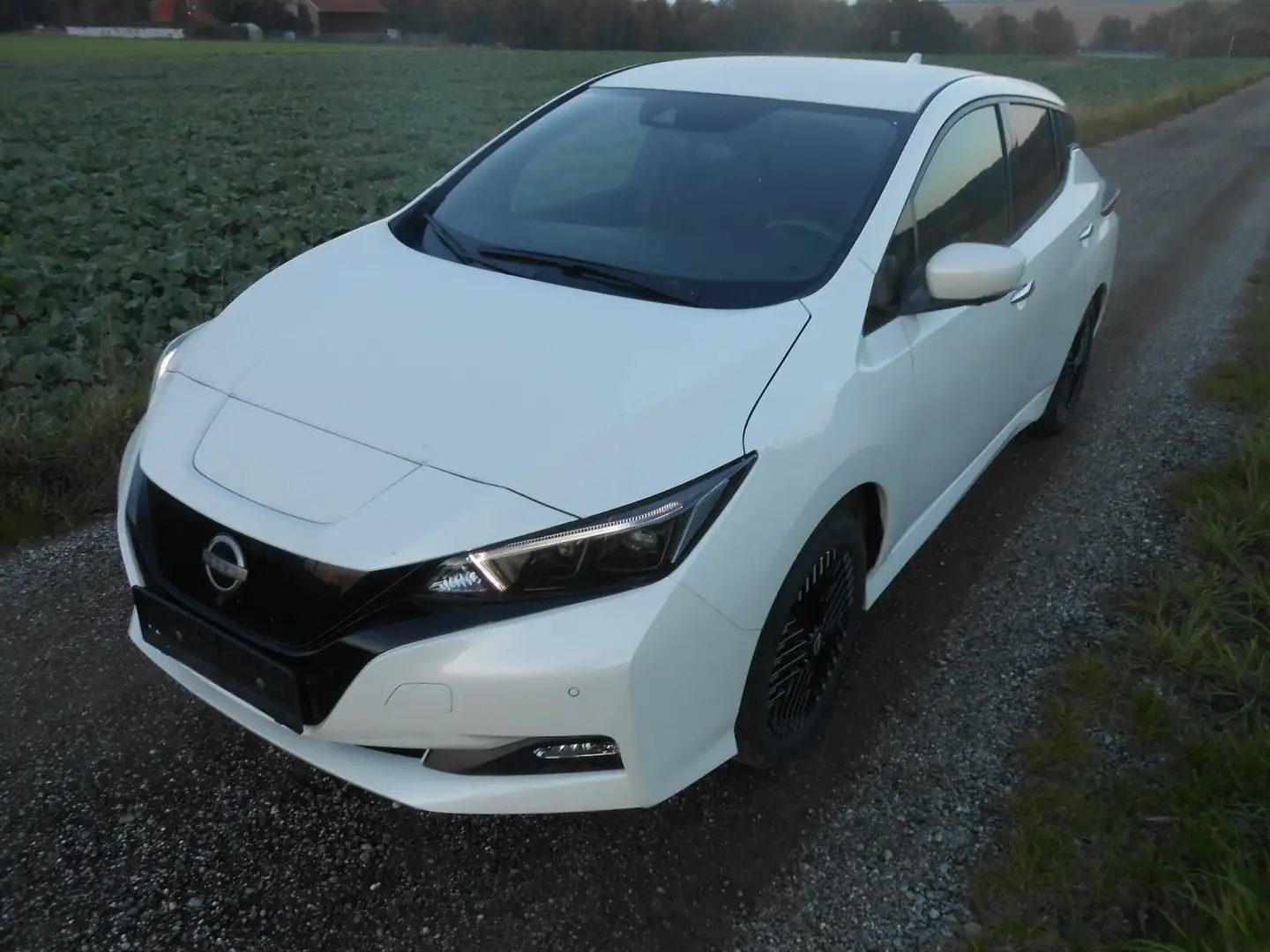 Nissan Leaf Leaf e N-Connecta 59 kWh N-Connecta Weiß - 2