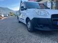 Fiat Doblo Doblo 1.3 mjt 2012 --CASSONE FISSO-- Blanc - thumbnail 3