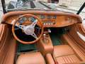 Morgan Plus 4 Sport dci 156 cv Grün - thumbnail 8