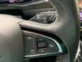 Skoda Superb Sportline Vollausstattng +DSG GetriebeÖlwechsel Grau - thumbnail 30