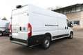 Fiat Ducato 35 140 L4H2 270°HFT VisibP 5"-DAB Kam PDC 103 k... Weiß - thumbnail 3