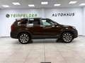 Kia Sorento Platinum Edition 4WD 2.2 PANORAMA/ XENON Brun - thumbnail 8