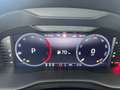 Skoda Karoq 4x4 Selection TDI DSG Grau - thumbnail 21