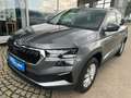 Skoda Karoq 4x4 Selection TDI DSG Grau - thumbnail 1