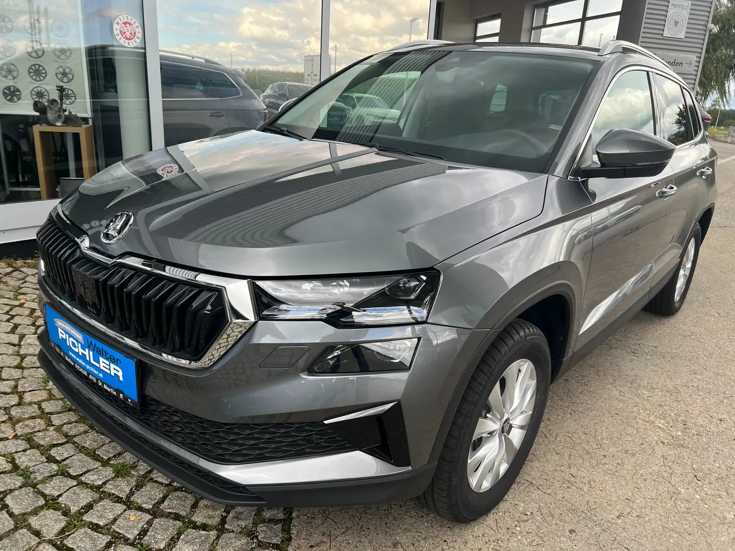 Skoda Karoq 4x4 Selection TDI DSG Grau - 1