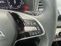 Skoda Karoq 4x4 Selection TDI DSG Grau - thumbnail 13