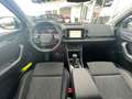Skoda Karoq 4x4 Selection TDI DSG Grau - thumbnail 14