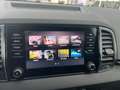 Skoda Karoq 4x4 Selection TDI DSG Grau - thumbnail 28
