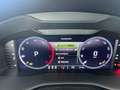 Skoda Karoq 4x4 Selection TDI DSG Grau - thumbnail 22