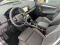 Skoda Karoq 4x4 Selection TDI DSG Grau - thumbnail 17