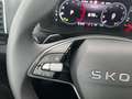 Skoda Karoq 4x4 Selection TDI DSG Grau - thumbnail 12