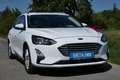 Ford Focus Cool&Connect Weiß - thumbnail 2