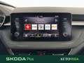 Skoda Fabia 1.0 tsi evo style 95cv Rosso - thumbnail 14
