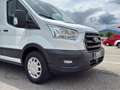 Ford Transit 2.0 TDCi L3H2 350 Kamera/STH/Spur-Assist/SHZ/uvm - thumbnail 39