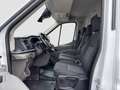 Ford Transit 2.0 TDCi L3H2 350 Kamera/STH/Spur-Assist/SHZ/uvm - thumbnail 9
