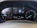 Ford Focus WAGON 1.5 Ecoblue 120cv Business Autom. - thumbnail 8