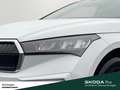 Skoda Enyaq 60 132 KW AHK PANO NAVI LED Weiß - thumbnail 5