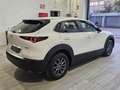 Mazda CX-30 2.5 e-Skyactiv-G Prime Line FWD 103kW Wit - thumbnail 6