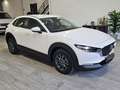 Mazda CX-30 2.5 e-Skyactiv-G Prime Line FWD 103kW Wit - thumbnail 7