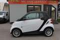 smart forTwo smart  pure softouch cdi DPF*** Weiß - thumbnail 4